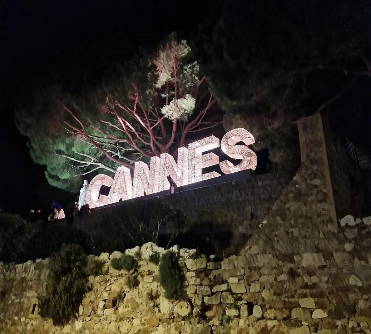Cannes - Centre- Film Festival 0*,  France